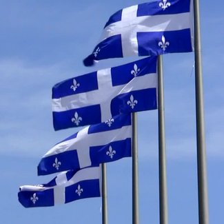 Loi sur la langue française : impacts pour l’Ordre et ses membres