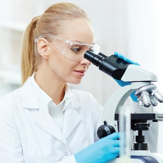 Dépôt du mémoire à l’Office des professions du Québec